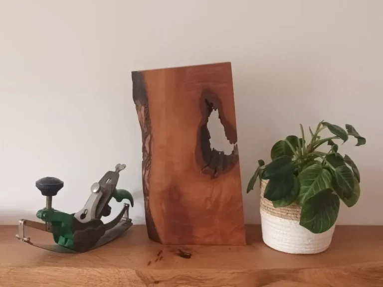  Birnenholzkunstwerk, umgeben von einem Zimmerpflanze und einem Handhobel.
